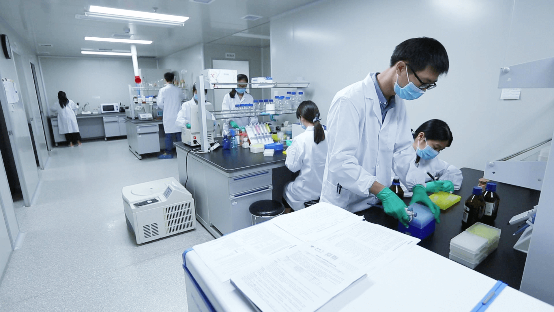 科研技术服务项目_实验服务_丰晖生物_【官网】细胞购买_稳转株_原代